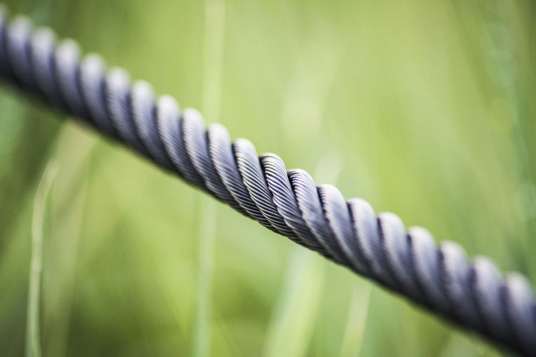 Close-up of wire on grass
