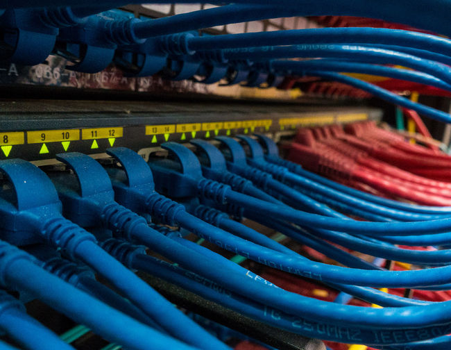 Close-up of multi colored network cables