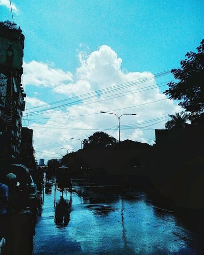 Panoramic view of trees against sky