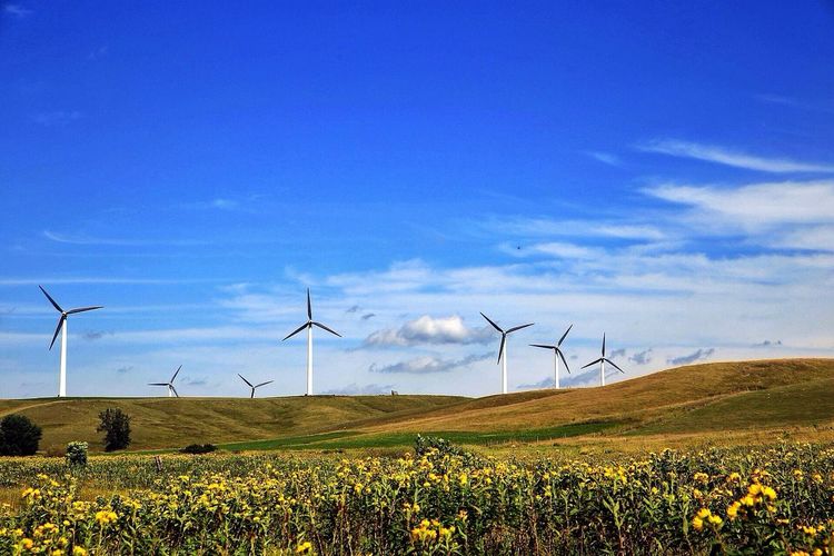 Wind turbines in field