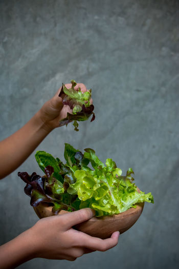 Cropped hands of woman holding lettuce in wooden bowl against wall