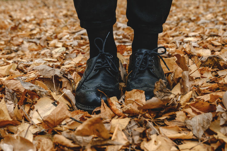 Low section of person standing by dry leaves on ground