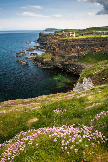 Dunluce castle in northern ireland in spring