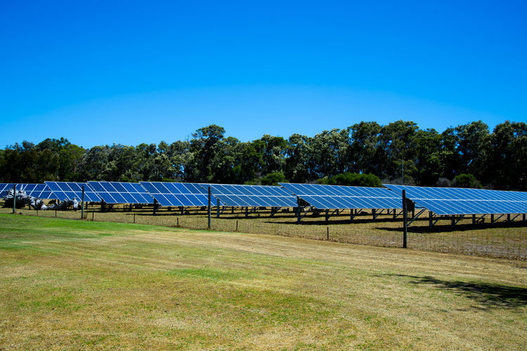 Solar panels on field against clear blue sky