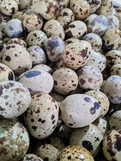 Piles of quail eggs will be sold in traditional markets. central java indonesia