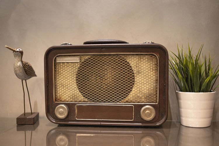 An antique radio with a pot of artificial plant and wooden bird sculpture. selective focus points