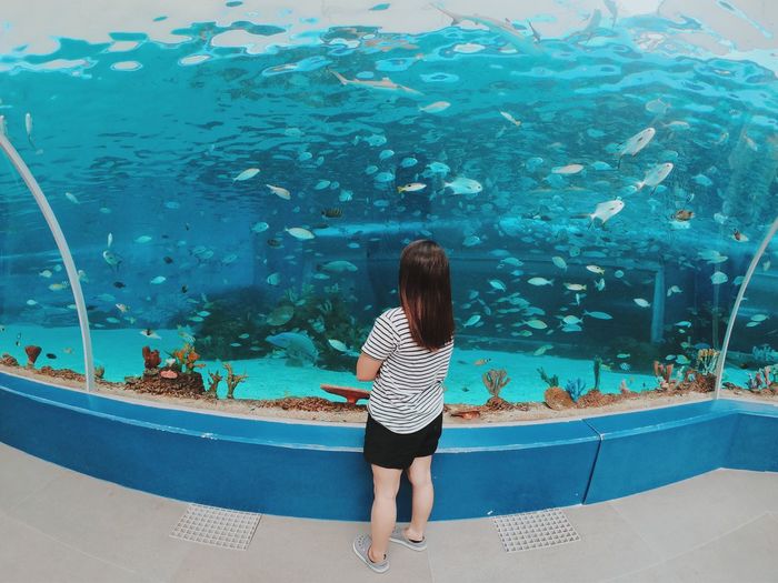 Rear view of woman standing in aquarium