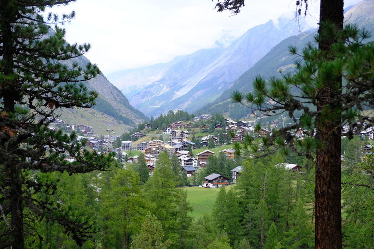 Scenic view of townscape and mountains