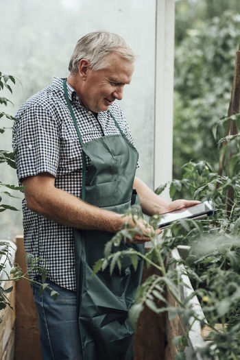 Mature man, gardener in greenhouse using digital tablet