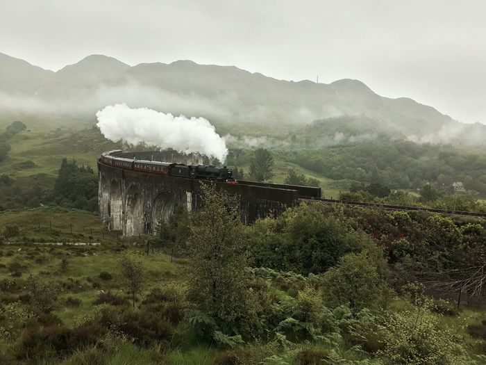 Smoke emitting from steam train as it passes on a bridge