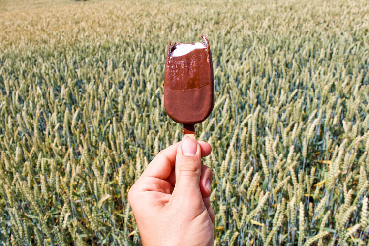Cropped image of hand holding chocolate popsicle on field