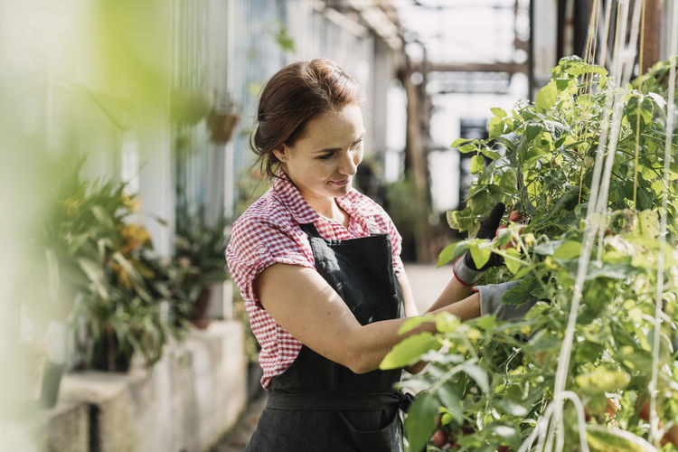 Female gardener working on potted plants in greenhouse