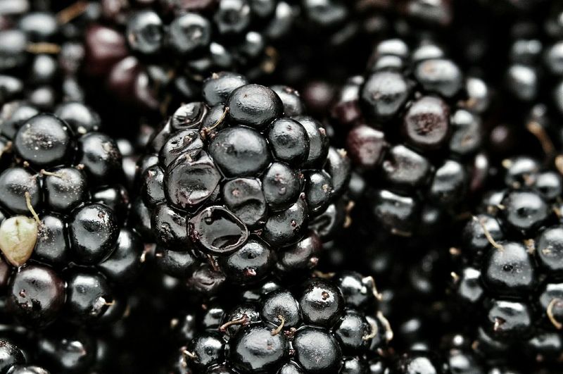 Full frame shot of wet blackberries