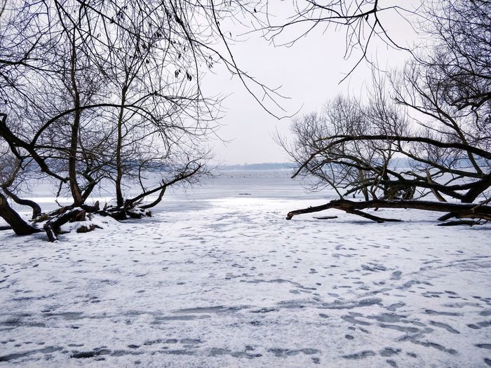 Bare trees on snow covered land and lake against cloudy sky