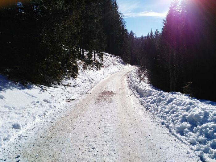 Road amidst trees against sky during winter