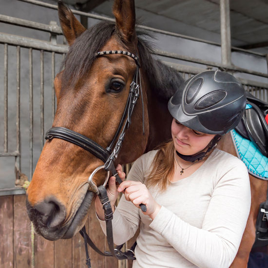 Young woman tying bridle of horse in stable