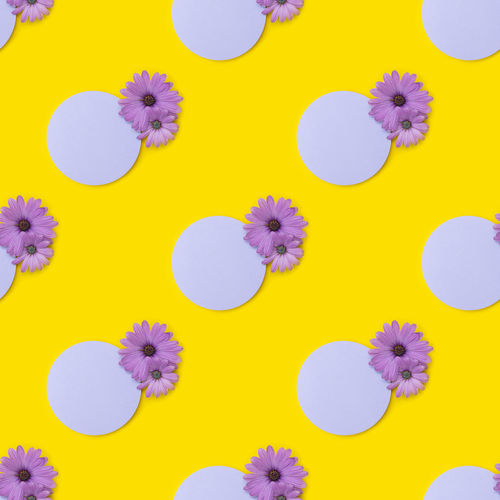 Close-up of yellow flowers against colored background