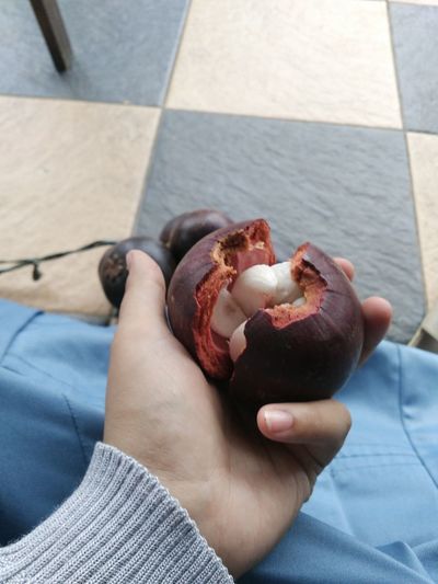 Midsection of man holding mangosteen