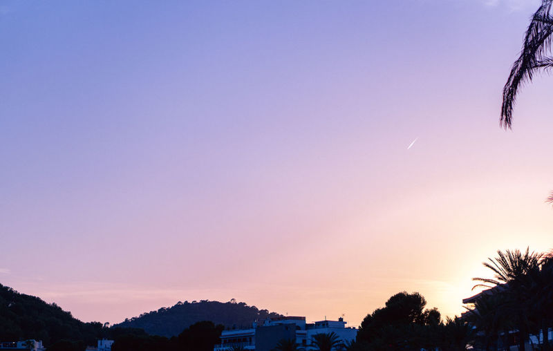 Silhouette trees and buildings against clear sky during sunset