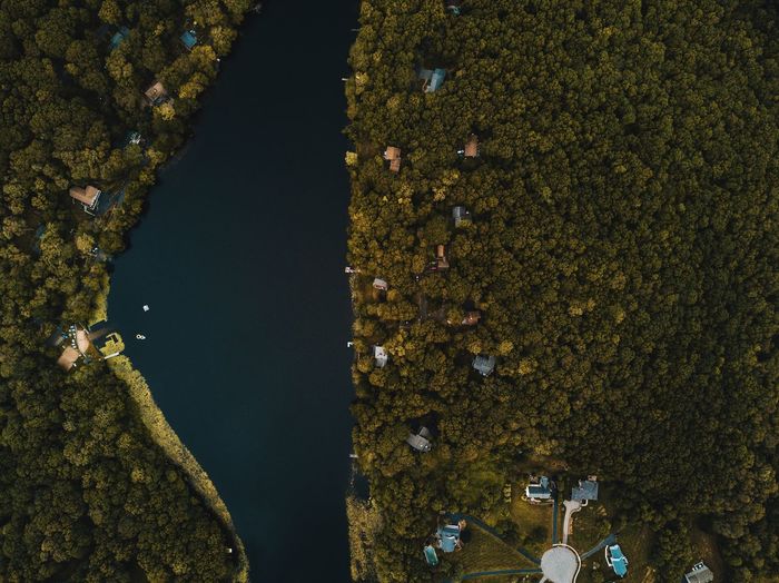 Aerial view of river amidst trees at forest