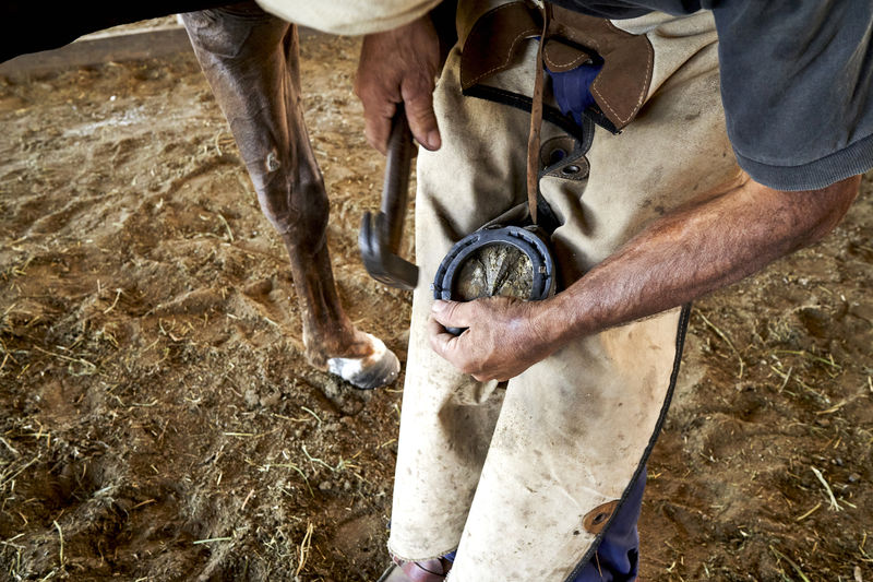 A skilled farrier shoeing a horse on a ranch.