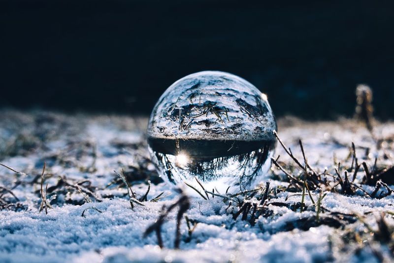 Close-up of frozen ball on land