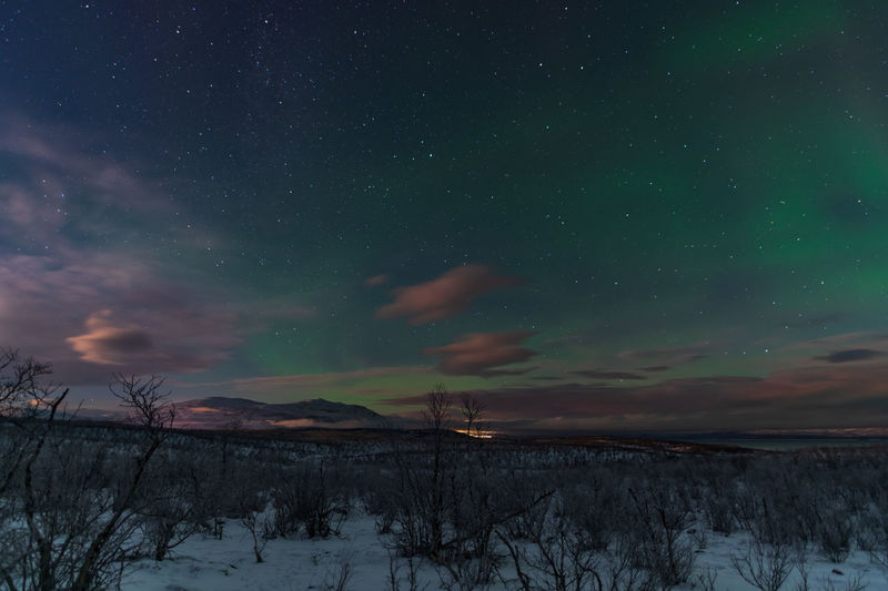 Scenic view of snowcapped landscape against sky at night with aurora borealis
