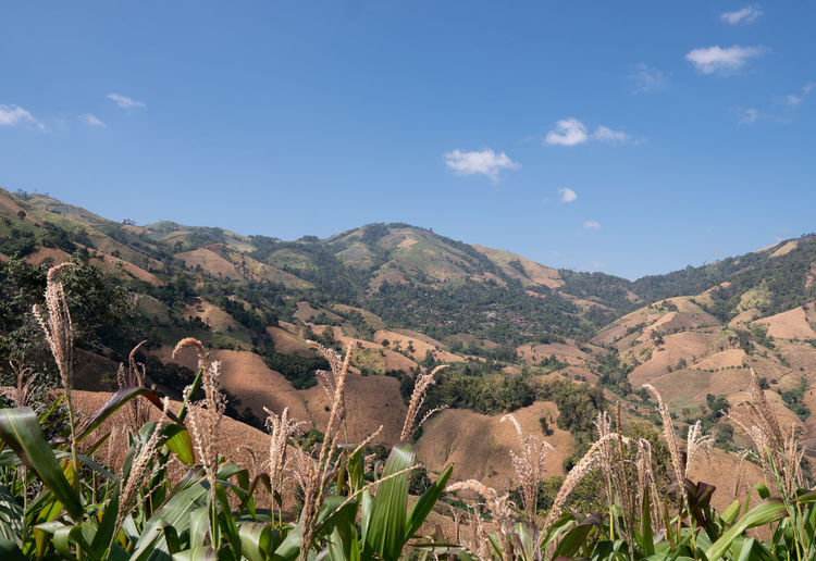 Scenic view of mountains against sky