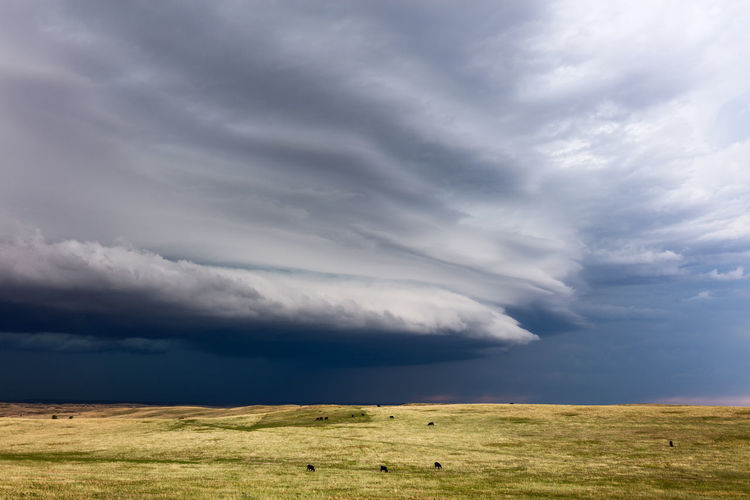 A striated shelf cloud leads an approaching severe thunderstorm near glendive, montana