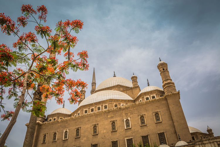 Mosque of muhammad ali against sky
