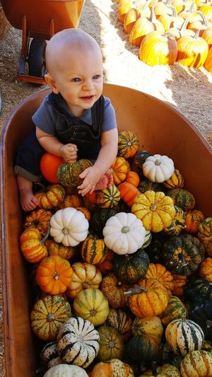 High angle view of boy sitting with pumpkins outdoors