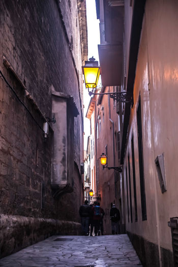 Alley amidst buildings in town