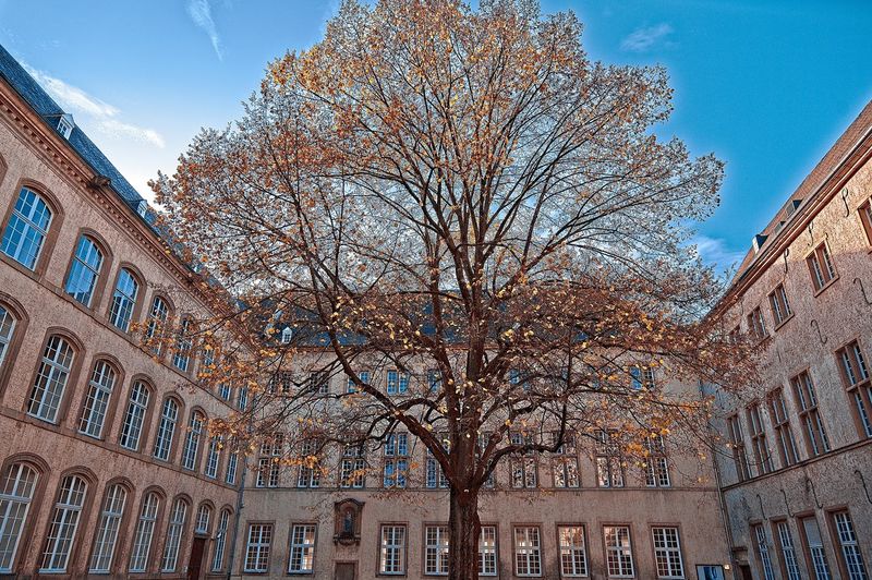 Low angle view of lonely tree inside courtyard against sky