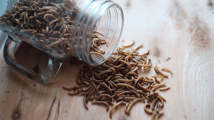 Worms spilling from glass jar on wooden jar