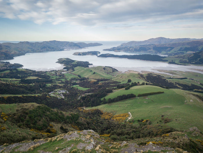 Aerial view on bay surrounded by green hills, port hills, christchurch, south island of new zealand