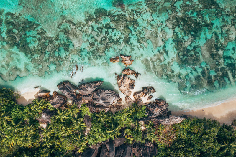 Aerial view of tropical seashore
