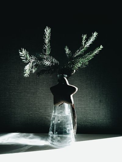 Close-up of vase on table against black background