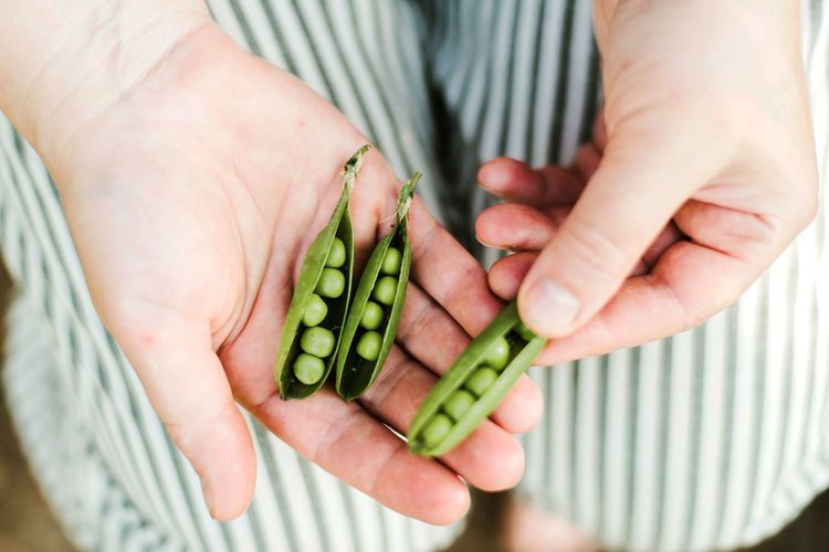 Woman holding peas in garden