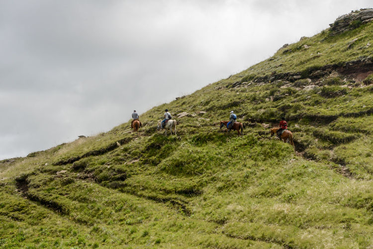 Rear view of people riding horses on hill against cloudy sky