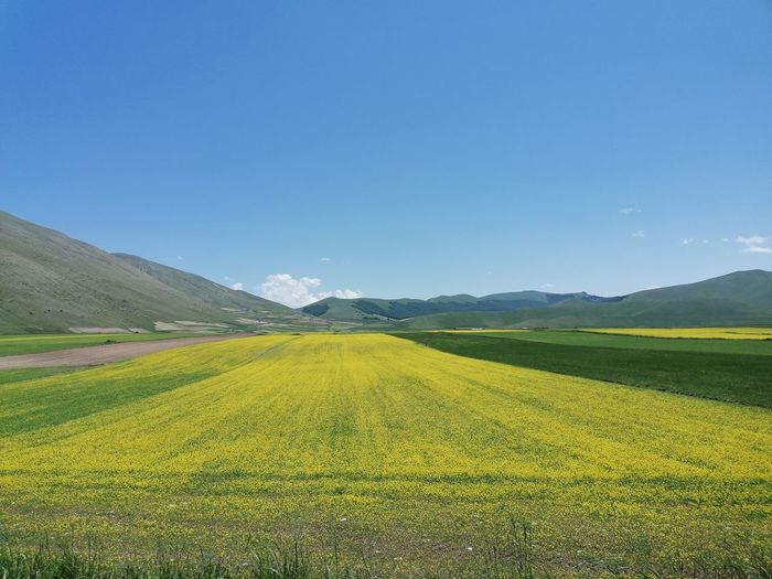 landscape