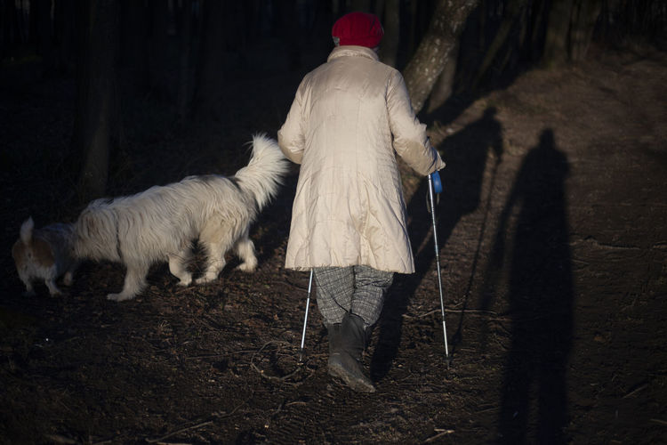 Nordic walking in the air. an elderly woman is walking with sticks. 