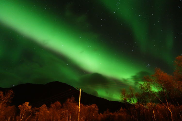 Low angle view of sky with aurora borealis at night