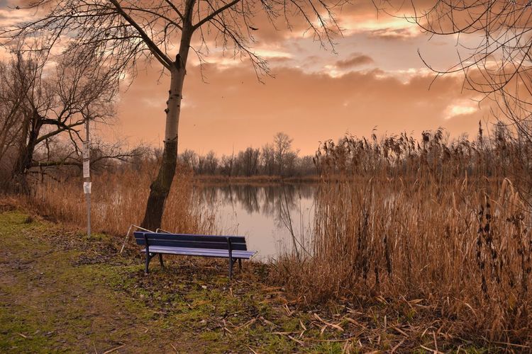 Bench by lake against sky during sunset