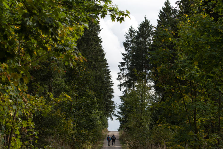 Rear view of couple walking on road in forest against sky