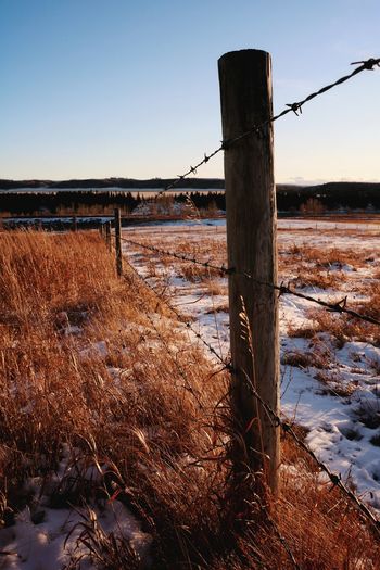Wooden fence on snow covered field against sky