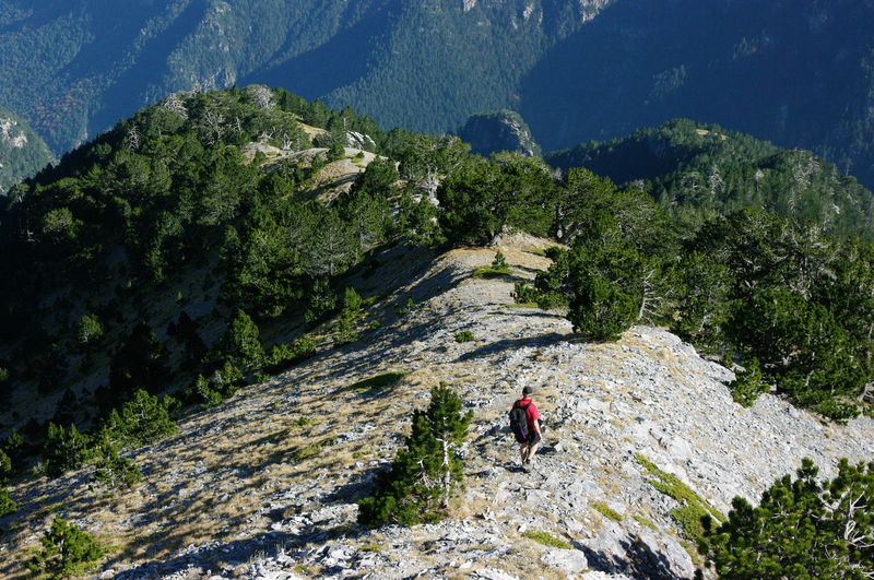 Man walking on rock formation in forest