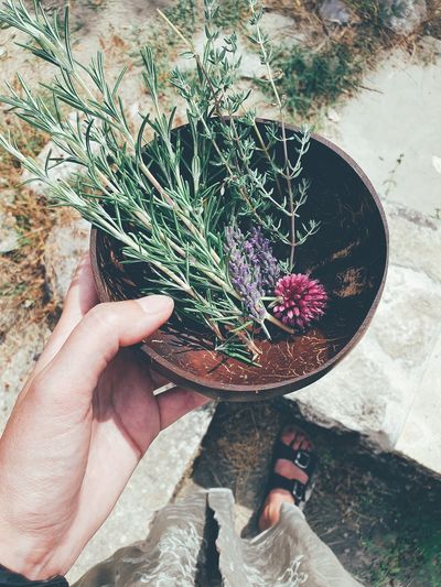 Midsection of person holding a bowl with herbs