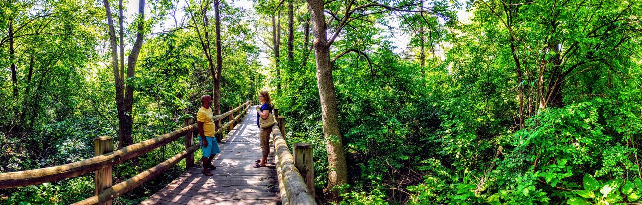 Panoramic view of friends standing on wooden bridge at boerner botanical gardens