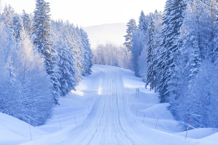 winter