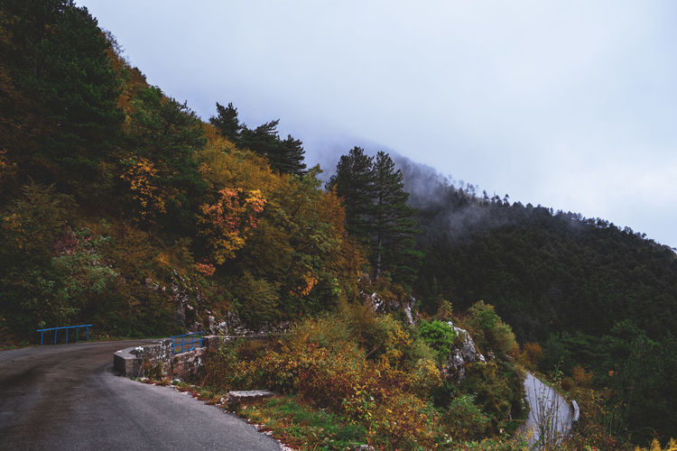 Road amidst trees against sky during autumn